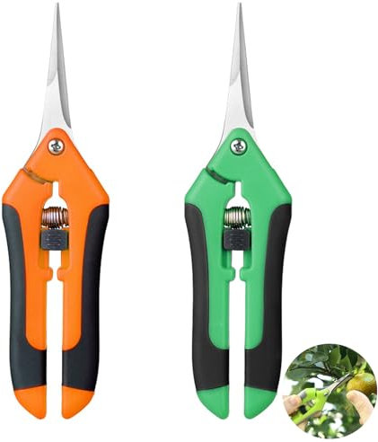 Forbici Potatura, 2 pezzi Piccole Forbici da Giardino, Orbici da Potatura in Acciaio Inossidabile, Professionali Forbice Cesoie per Bonsai, per Piante in vaso, (Verde e Arancione)
