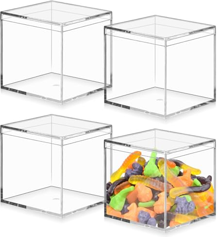 WANDGU - Confezione da 4 scatole in acrilico con coperchio: 10 x 10 x 10 cm Scatola portaoggetti piccola con coperchio, scatola in acrilico trasparente piccola, scatola per gioielli, vetrina, scatola