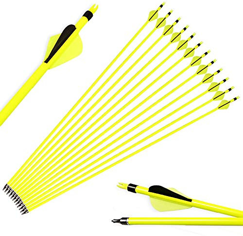 SHARROW 12 Stück Carbonpfeile 30 Zoll Jagdpfeile Pfeile für Bogen Bogenpfeile 500 Spine mit 100 Grains Pfeilspitze für Recurve Bogen und Compoundbögen (Pfeile)