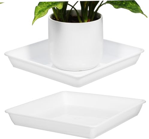 Toddmomy 2 Pezzi Vassoio per fioriere drenare Rettangolare piattino Piazza sottovaso Quadrato per Piante Raccoglitore d'Acqua per fioriera vassoi per Piante Vassoio per Piante PVC Bianca