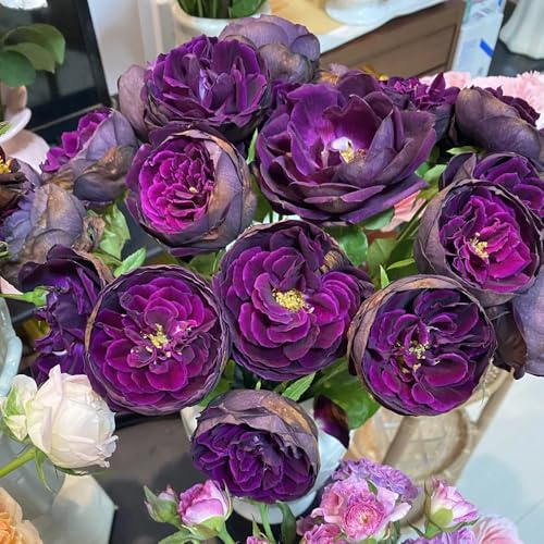 semillas resistentes de rosal, comprar Rosas trepadoras silvestres, 300pcs