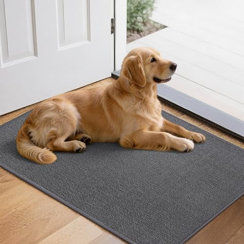 Mizuosre Fußmatte Innen Waschbar 80x120cm, rutschfest Fussmatte Innen Dünn Schmutzfangmatte Innen Türmatte Outdoor, Eingangsteppich mit Wasserabsorbierenden für Innen, Außen, Hund & Haustür, Grau