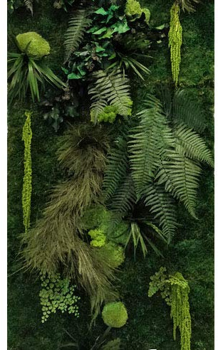 Pared vegetal interior personalizable – Kit de bricolaje fácil con plantas estabilizadas naturales – Decoración duradera y única para sala de estar, oficina