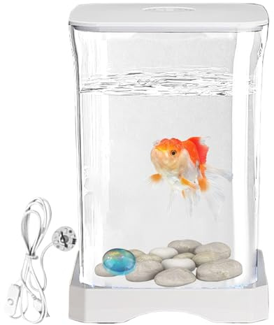 Aquarium Betta - Acryl | Aquarium Bettá | Aquarium aus Fish Tan | Aquarium aus Nano- mit Filter für, Krabben und Schreibtischdekorationen