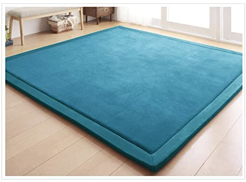 CASTLYE Kinderteppich Korallensamtteppich Teppiche Fürs Kinderzimmer Matten Teppich Anti Rutsch Unterlage Teppich Wohnzimmer, Blaugrün, 100x100cm