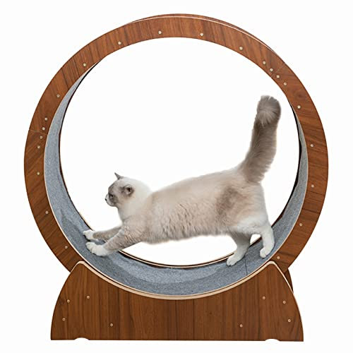Katzenlaufrad Katzenlaufrad Braun, Anti-Quetsch-Katzenlaufband für Wohnungskatzen, Hochleistungs-Katzenlaufrad, Multifunktionales Katzenspielzeug / Haustierspielzeug / Katzenrad ( Size : 100cm/39.4 )