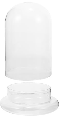 BESTOMZ Soporte Transparente de Vidrio para Plantas y Flores Campana para Decoración y Orden en Ambientes Domésticos y Profesionales