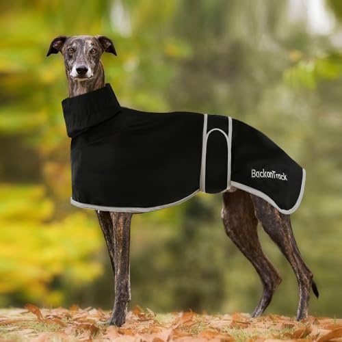 Windhunde-Regenmantel, Leicht, Wasserdicht, Für Mittelgroße Und Große Hunde - Windhundemäntel, Whippet-Mantel, Sommer-Winter-Hundemantel (Schwarz)