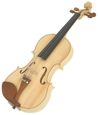 strumento violino Violino 4/4 Set Di Violini Intagliati A Mano Con Custodia Accessori Per Archi Per Esercitarsi Con Strumenti A Corda Violino (Color : 340)