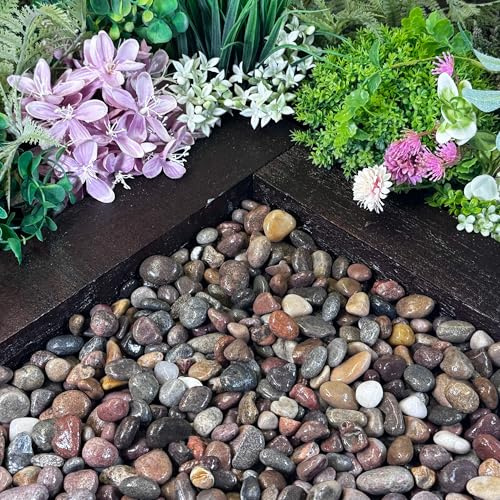 Scottish Pebbles 14-20mm bulk bag