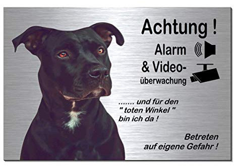 Pitbull-Alarm + Videoüberwachung-Hund-Schild-Hundeschild-300 x 200 x 3 mm-Aluminium Edelstahloptik-Hunde-Tierschild-Warnschild-Hinweisschild (133-23 Alu.-silber 30 x 20 cm mit Eigenbild)