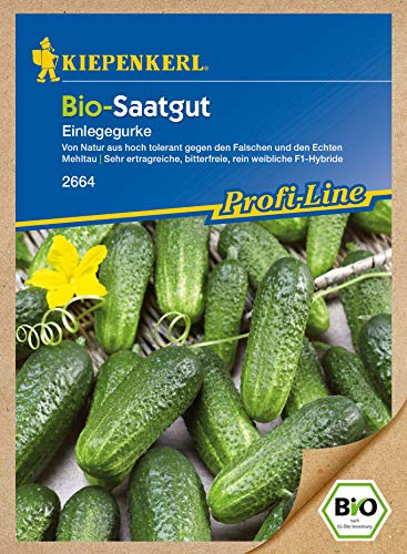 Kiepenkerl 2664 Einlegegurke Diamant F1 (Bio-Einlegegurkensamen)