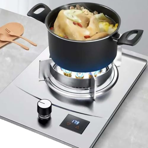 THEGA Stufa A Gas, Forno A Gas da 7,0kw, Fornello in Acciaio Inossidabile Fornello A Gas, Le Dimensioni della Fiamma Sono Intervalli di Gas Regolabili, Fornello Intelligente per Gas Temporizzato(LPG)