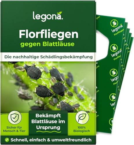 Legona Florfliegenlarven gegen Blattläuse, 1 Träger, 2 Lieferungen | Akutbehandlung gegen Blattlausbefall, Thripse und Schmierläuse