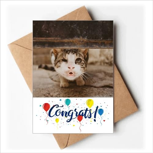 Tier lustige Katze Foto Hochzeit Karten Glückwunsch Gruß Umschläge