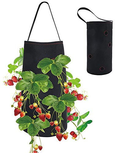 Longsing Borsa per Piantare Fragile Sacco per Piantare Fragole Fragole Contenitori per Piante da Giardino Fiori di Erbe 38 * 22 cm