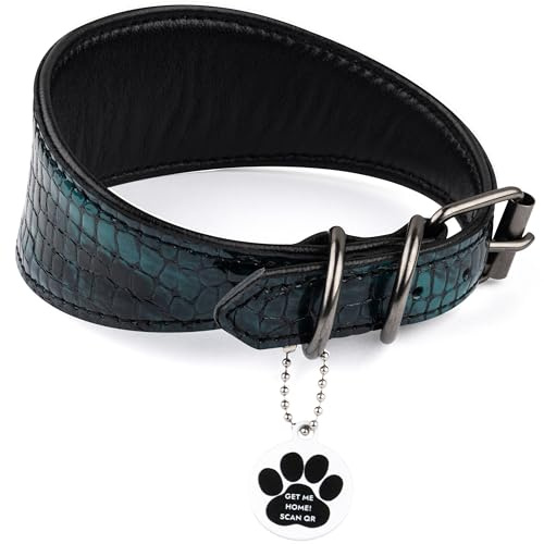FAVPET Luxus Echtleder Windhund Halsband Breit mit QR Code Anhänger, Weiches Lederhalsband Hund Breit Whippet Italienisches Windspiel Saluki Lurcher Spanischer Galgo Greyhound Podenco (Grün, L)
