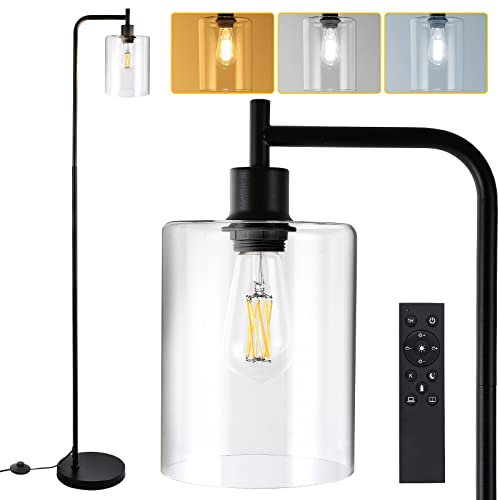Lampara de Pie Salon Negro,Lámpara de Pie Industrial Regulable con Pantalla de Cristal Transparente,Mando a Distancia y Control de Pie, Lámpara LED Proporciona 800 lm de Luz Blanca (2700K-6500K)
