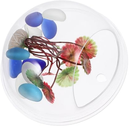 DECHOUS Acrylic Fish Tank Wall Mounted Fish Tank Aquarium Decorative Bowl Aquarium Floating Plant