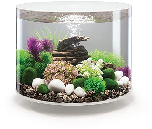 biOrb TUBE 35 LED, weiß - 360-Grad Deko-Aquarium / Komplett-Set aus Acryl-Glas mit LED-Beleuchtung, Filter-System und Boden-Keramik