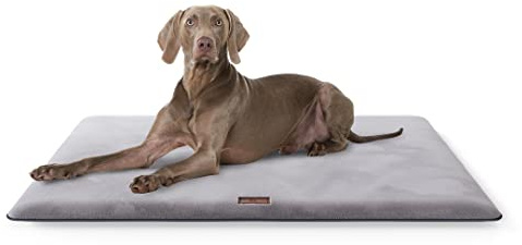 Knuffelwuff Kuschelige Hundematte Sunport aus weichem Fellimitat 100x70cm - Hundekissen für große, mittelgroße und kleine Hunde - Für Zuhause, Auto, Wohnmobil, Wohnwagen