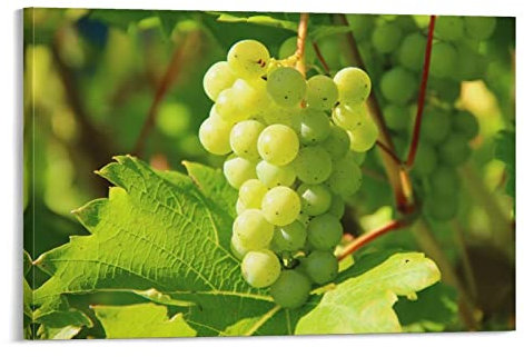flechr Weinreben, grüne Reben, Weinberg, Obst, Poster, Kunstdruck, Wandfoto, Farbe, Poster, hängendes Bild, Familiendekoration, 30 x 45 cm