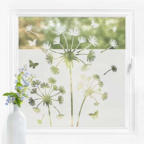 Bilderwelten Fensterfolie Sichtschutz Pusteblumen 80 x 80 cm Milchglasfolie Sichtschutzfolie Fenster Folie Blickdicht Anti-UV Statisch Haftend Quadrat