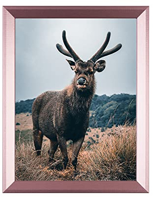 Rahmendesign24 Posterrahmen Rio 42x59,4 (DIN A2) Roségold Fotorahmen, Wechselrahmen, Bilderrahmen