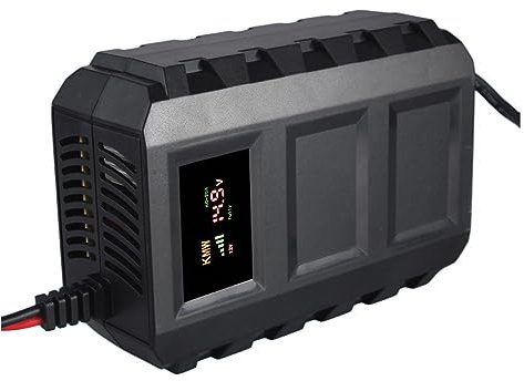 12V 20A Automóvil Coche Motocicleta Cargador De Batería De Plomo Ácido Sellado Inteligente Pantalla Digital LED