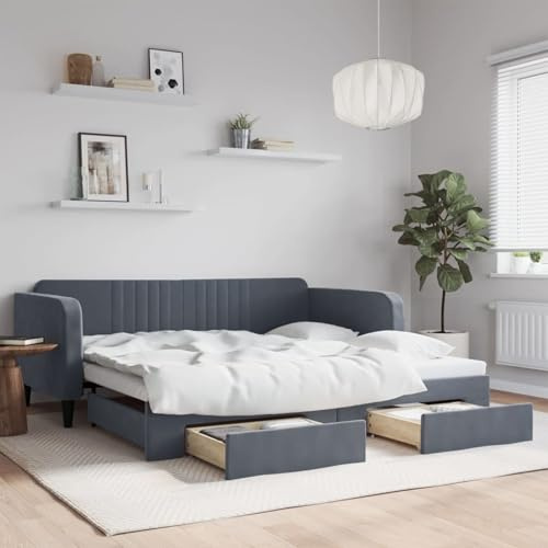 Fecpoo WGYHOME utdragbar dagsäng, med förvaringsutrymme, sammet, mörkgrå, 223 x 110 x 75 cm, 2 lådor, 2-madrasssäng för vuxna