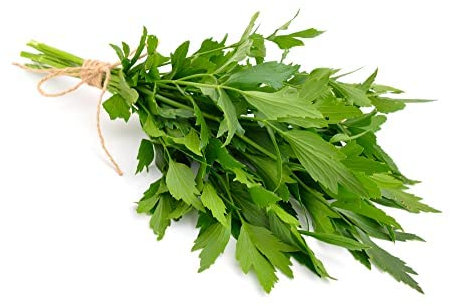 Herb Plants Selection - Lovage + Borage + Garlic Chives - 6 x Full Plants in 9cm Pots - Herbs - Indoor or Outdoor - Premium Quality