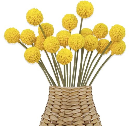 18 Stücke Billy Bälle Kunstblumen, Trockenblumen, Craspedia Globosa Getrocknete Blumen, Künstliche Blumen, Senfgelb Deko für Hochzeit Party Tischdeko Fotografie Requisiten Dekoration