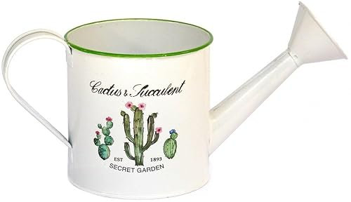 HARDWAREXCHANGE - Arrosoir en Fer Decor Cactus, H 10 cm