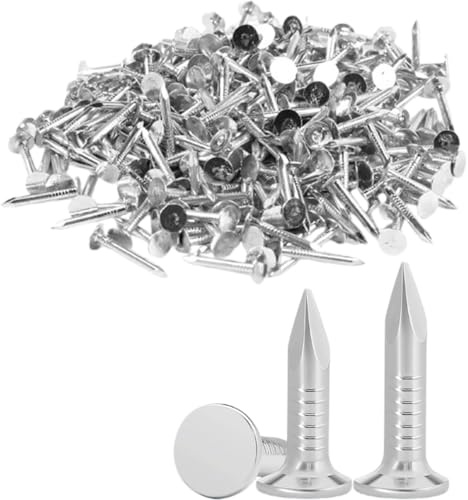 Clout Nails - Chiodi in feltro zincato, resistenti, 20/25/30 mm (300 g, 100 g ciascuno), resistenti e zincati, per tetto a capanno, con pratica custodia in plastica