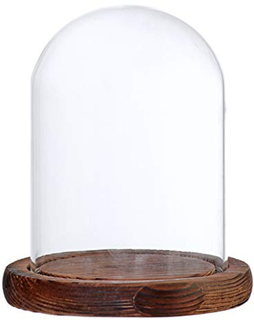 perfk Cupola di Vetro Vaso Forma di Campana di Vetro con Legno, Brown B