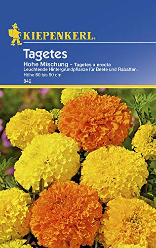 Kiepenkerl 842 Tagetes Hohe Mischung (Tagetessamen)