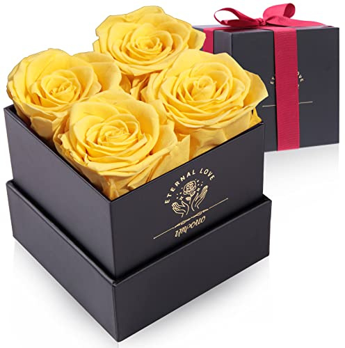 Impouo Rosenbox,4 Infinity Rosen,Konservierte Rose, Ewige Rose,Geburtstagsgeschenke FüR Frauen, Geschenke FüR Mutter/Freundin/Ehefrau/Oma, Geburtstag, Valentinstag,Gelb Ewige Blume