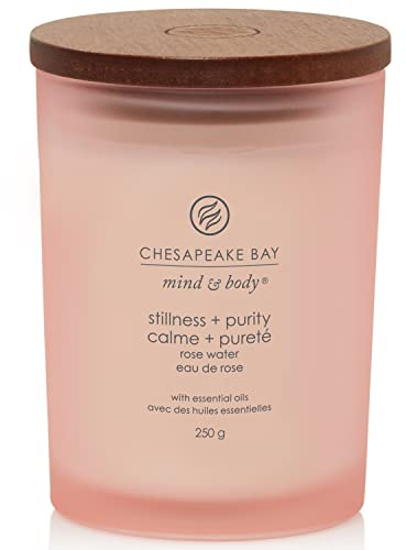 Chesapeake Bay candela profumata | Candela media Tumbler Stillness + Purity per aromaterapia | Durata: fino a 57 ore | Collezione Mind & Body
