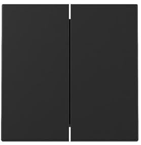 Gira 3295005 Wippe Schwarz matt mit Symbol 2-Fach