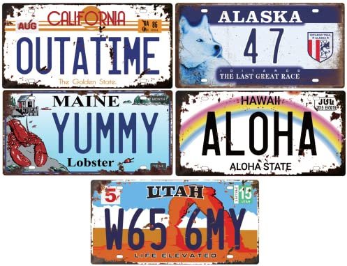OPO 10 - Lot of 5 USA metal car LICENSE PLATES, with aged effect - replicas of real American plates, and that of the film: Back to the future / OLD5