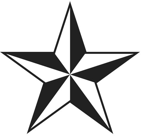 Finest Folia Uppsättning av 2 bilklistermärken nautisk stjärna klistermärken folie för bil motorcykel hänge klistermärken US stjärna självhäftande väderbeständiga biltillbehör K170 (svart matt, 20 x