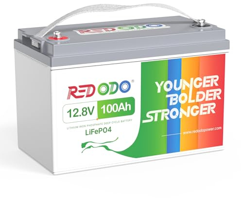 Redodo 12V 100Ah(1 Pack) Bateria Litio,Bateria LiFePO4 Incorporada en 100A BMS,hasta 15000 Ciclos y 10 Años de Vida, Autocaravana, Sistema Placa Solar, Barco Motor de Arrastre, ETC
