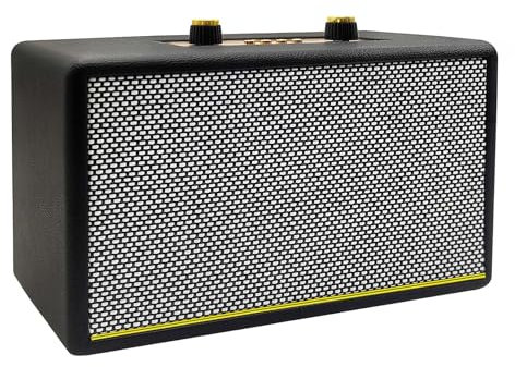 Haut-parleur Bluetooth portable avec système de sonorisation, technologie de séparation des basses et des aigus, prend en charge FM/USB/TF/AUX pour la maison et les voyages en plein air (pas karaoké)