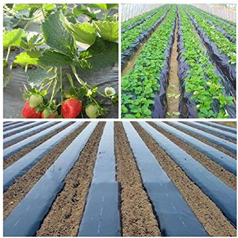 Agriculture Weeding - Mantillo negro de 0,8 m de ancho, película de plástico grueso para invernadero, plantas de fresa, 0,01 mm de grosor (tamaño: 0,8 m x 20 m)