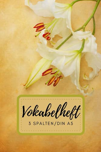 Vokabelheft 3 Spalten DIN A5: 100 liniert Seiten für Vokabeln mit schönem Design