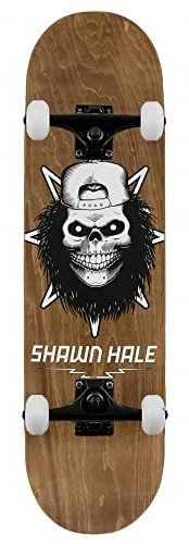 Birdhouse Pro Hale Skull-Skateboard, 21,6 cm, Braun