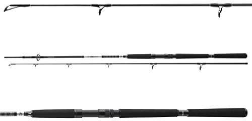 DAIWA BG Offshore Pilk, caña de pescar Jigging