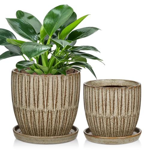 Oairse 2er-Set Bonsai Keramiktopf Bonsaischale mit Entwässerungslöchern für Japanische Bonsai Zimmerpflanzen, Retro-Dekoration für Gartenbehälter-Sets im Freien, Durchmesser Öffnung 16cm