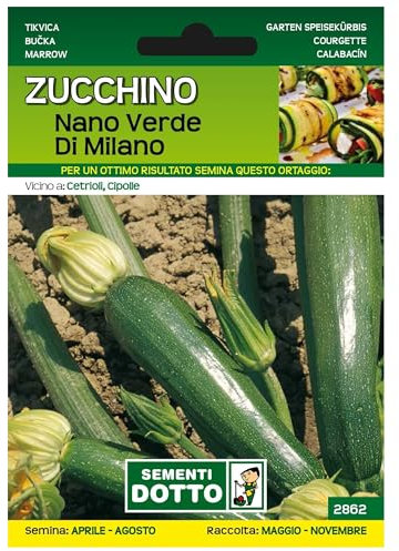 Sicignano | Semi Zucchino Nano Verde di Milano, Frutto Cilindrico Lungo Medio Grosso, Busta Extra - 1 Confezione da 4.2g, Pianta a Ciclo Precoce