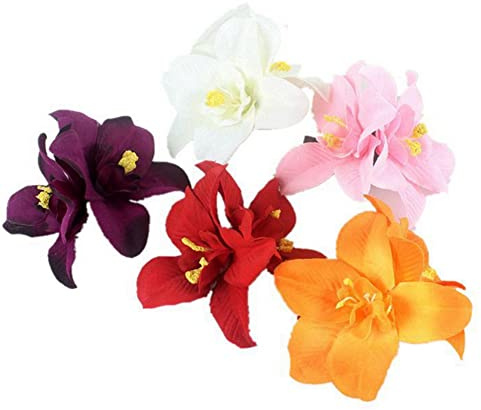 5 Stück Doppel-Orchideen-Blumen-Krokodilklemmen, böhmische hawaiianische Strandblumen, Haarnadeln, Haarspange, tropisches Kostümzubehör für Frauen und Mädchen (zufällige Farbe)
